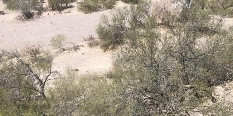 ABCdario Por Víctor Octavio García