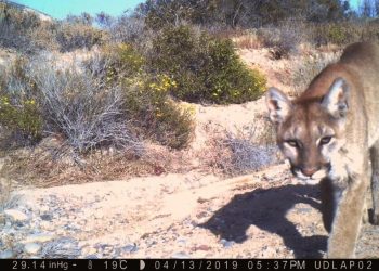 ABCdario Por Víctor Octavio García
