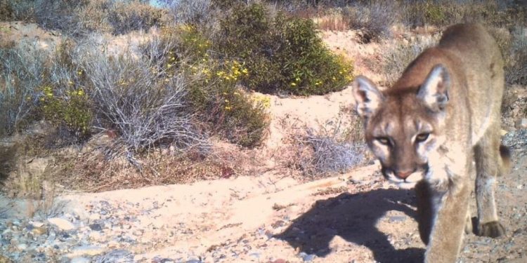ABCdario Por Víctor Octavio García