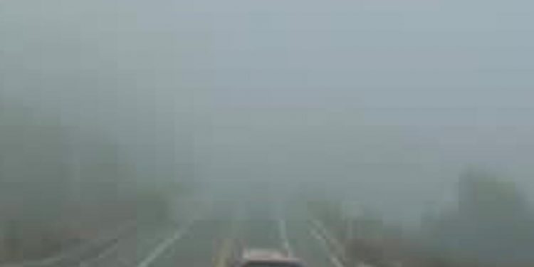 PROTECCIÓN CIVIL MUNICIPAL EMITE RECOMENDACIONES PARA CONDUCTORES Y PEATONES ANTE LA PRESENCIA DE NEBLINA EN LAS MADRUGADAS
