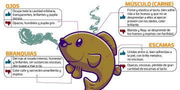 DIRECCIÓN MUNICIPAL DE SALUD RECOMIENDA A LA CIUDADANÍA EVITAR RIESGOS  A LA SALUD AL ADQUIRIR PESCADOS Y MARISCOS
