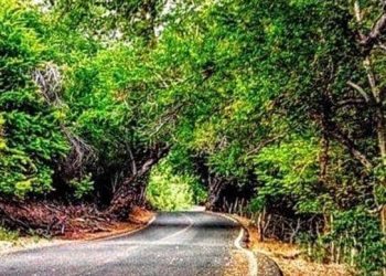 ABCdario Por Víctor Octavio García