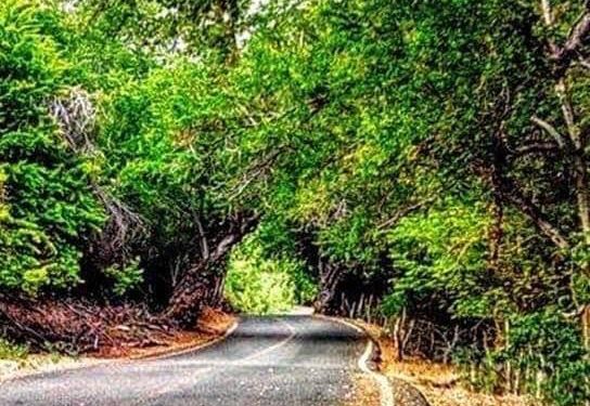 ABCdario Por Víctor Octavio García