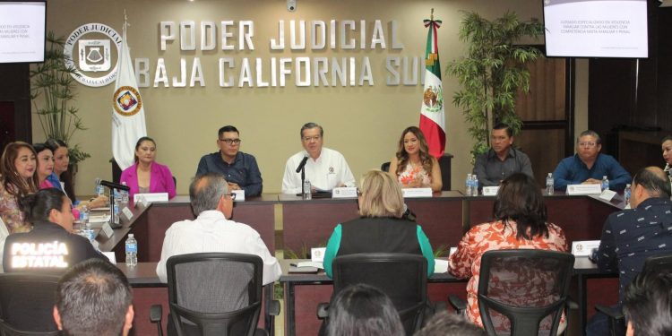 PODER JUDICIAL TRABAJA EN LA IMPLEMENTACIÓN DE UN JUZGADO ESPECIALIZADO EN VIOLENCIA FAMILIAR CONTRA LAS MUJERES