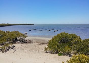 CAPACITÓ SALUD A PROFESIONALES DE PSICOLOGÍA EN CÓDIGO DE ÉTICA PROFESIONAL