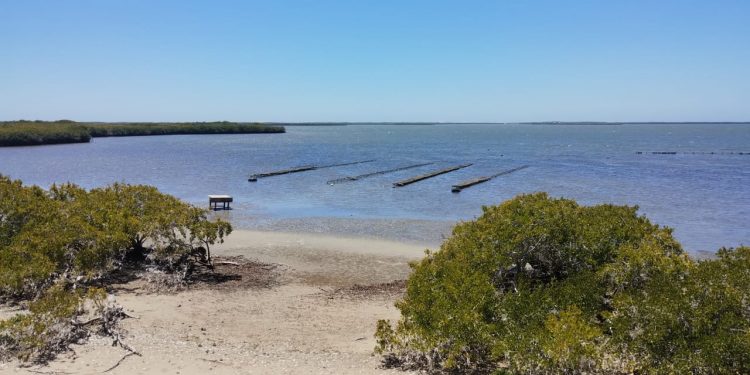 CAPACITÓ SALUD A PROFESIONALES DE PSICOLOGÍA EN CÓDIGO DE ÉTICA PROFESIONAL