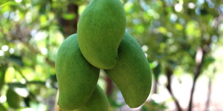 DESTACADA PARTICIPACIÓN DE JÓVENES EN JORNADA “MI EMPLEO DE VERANO”