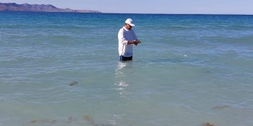 ANÁLISIS DE LABORATORIO CONFIRMAN QUE PLAYAS DE LA PAZ ESTÁN EN CONDICIONES SANITARIAS ÓPTIMAS