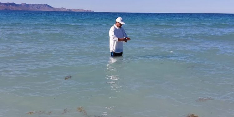 ANÁLISIS DE LABORATORIO CONFIRMAN QUE PLAYAS DE LA PAZ ESTÁN EN CONDICIONES SANITARIAS ÓPTIMAS