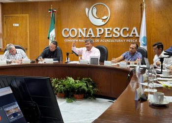 INSTITUTO DE CULTURA INVITA AL FESTIVAL DE LA MÚSICA 2024