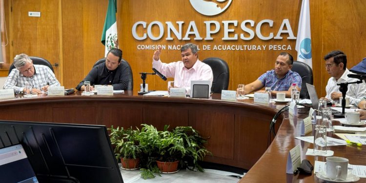 INSTITUTO DE CULTURA INVITA AL FESTIVAL DE LA MÚSICA 2024