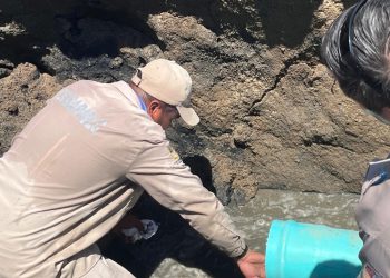 OOMSAPAS LOS CABOS SUSTITUYÓ 50 METROS DE TUBERÍA DE ALCANTARILLADO SANITARIO EN LA COLONIA INFONAVIT BRISAS DEL PACÍFICO