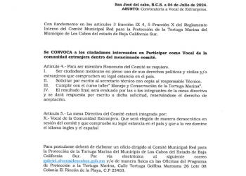 COMITÉ MUNICIPAL DE LA RED PARA LA PROTECCIÓN DE LA TORTUGA MARINA  LANZA CONVOCATORIA PARA FORMAR PARTE COMO “VOCAL” DE LA COMUNIDAD EXTRANJERA.