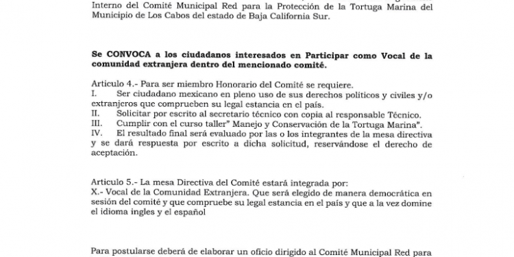 COMITÉ MUNICIPAL DE LA RED PARA LA PROTECCIÓN DE LA TORTUGA MARINA LANZA CONVOCATORIA PARA FORMAR PARTE COMO “VOCAL” DE LA COMUNIDAD EXTRANJERA.
