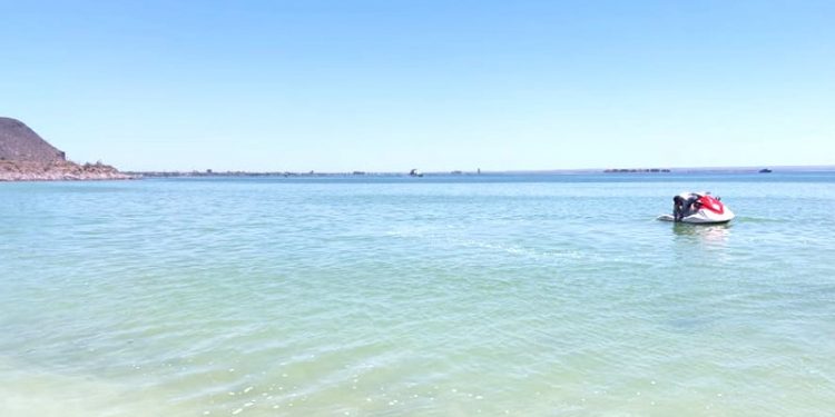 NUEVOS MUESTREOS EN ZONAS EXTERNAS DE LA BAHÍA DE LA PAZ DESCARTAN MAREA ROJA TÓXICA