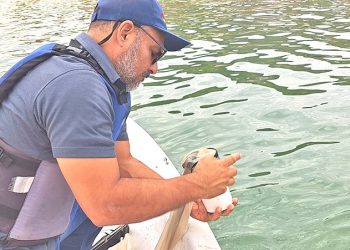 ANÁLISIS MICROSCÓPICOS REALIZADOS POR COEPRIS DESCARTAN PRESENCIA DE MAREA ROJA EN BAHÍA DE LA PAZ