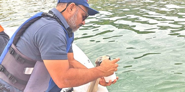 ANÁLISIS MICROSCÓPICOS REALIZADOS POR COEPRIS DESCARTAN PRESENCIA DE MAREA ROJA EN BAHÍA DE LA PAZ