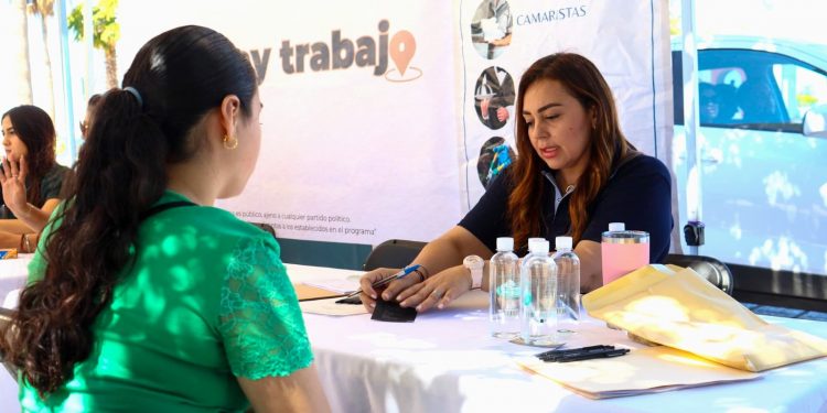 PRODUCEN EN BCS MÁS DE 10 MIL TONELADAS DE MANGO