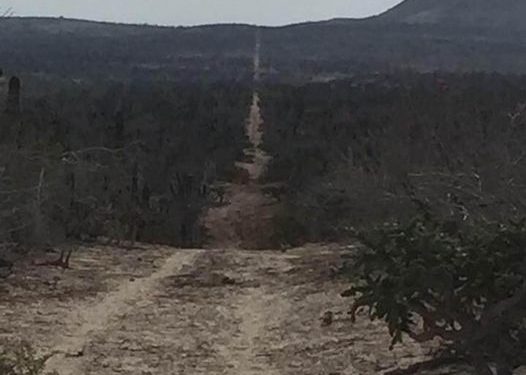 ABCdario Por Víctor Octavio García