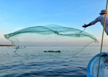 AVANZA PROGRAMA DE ORDENAMIENTO PESQUERO Y ACUÍCOLA EN BCS