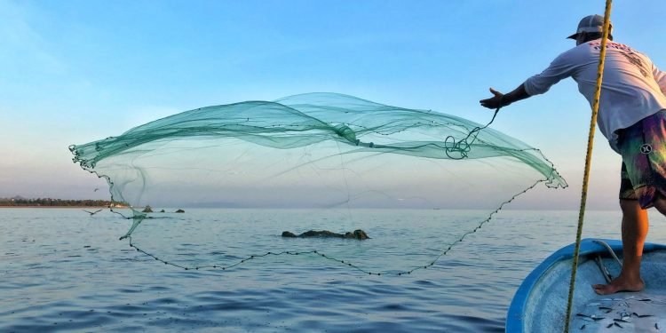 AVANZA PROGRAMA DE ORDENAMIENTO PESQUERO Y ACUÍCOLA EN BCS