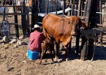 ABCdario Por Víctor Octavio García