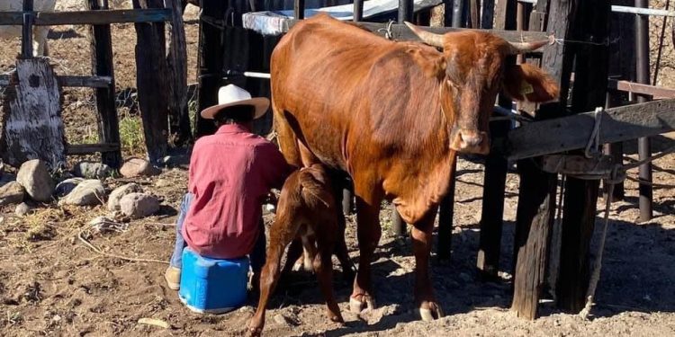 ABCdario Por Víctor Octavio García
