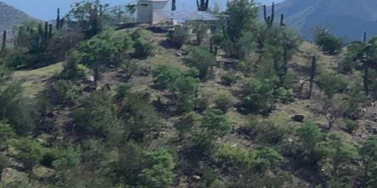 ABCdario Por Víctor Octavio García