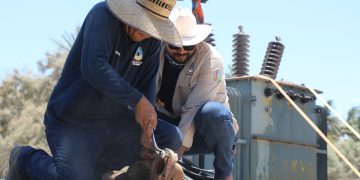 OOMSAPAS LOS CABOS REALIZÓ LA SUSTITUCIÓN DE LA BOMBA EN EL CARCAMO #2 EN LA RIBERA