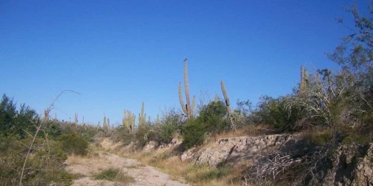 ABCdario  Por Víctor Octavio García