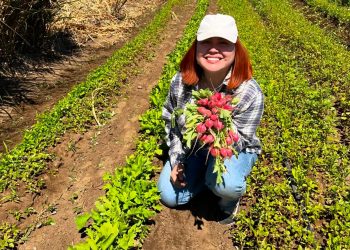 A TRAVÉS DE PROGRAMAS DE RESPONSABILIDAD SOCIAL LA UABCS FORTALECE SU INCIDENCIA EN LA COMUNIDAD