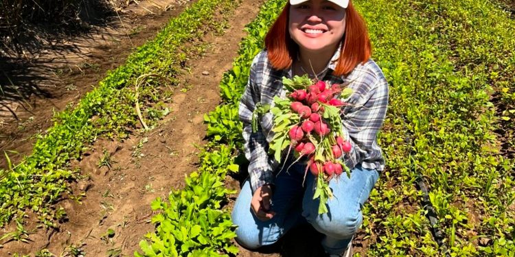 A TRAVÉS DE PROGRAMAS DE RESPONSABILIDAD SOCIAL LA UABCS FORTALECE SU INCIDENCIA EN LA COMUNIDAD
