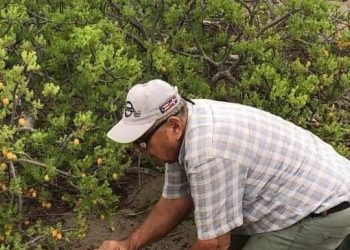 ABCdario Por Víctor Octavio García