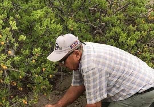 ABCdario Por Víctor Octavio García