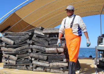 CIERRA PREPARACION CICLISTA YULI VERDUGO PARA PARIS 2024