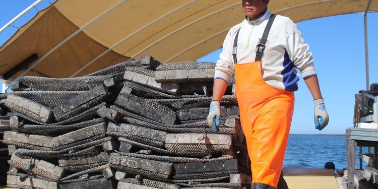 CIERRA PREPARACION CICLISTA YULI VERDUGO PARA PARIS 2024