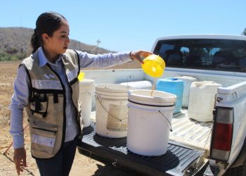 GOBIERNO ESTATAL Y FEDERAL INVIERTEN 15 MDP EN PLAN EMERGENTE CONTRA LA MOSCA DE LA FRUTA