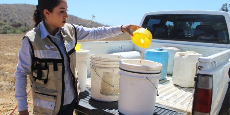 GOBIERNO ESTATAL Y FEDERAL INVIERTEN 15 MDP EN PLAN EMERGENTE CONTRA LA MOSCA DE LA FRUTA