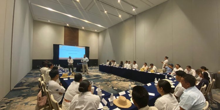 CONCLUYEN CON ÉXITO LOS TALLERES DE ANIDACIÓN DE TORTUGAS MARINAS 2024 IMPARTIDOS A 315 COLABORADORES DE LA ZONA HOTELERA DE LOS CABOS