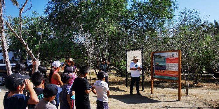 A TRAVEZ DE JORNADAS SOCIALES SMDIF LOS CABOS HA BENEFICIADO A MÁS DE 400 PERSONAS EN 2024