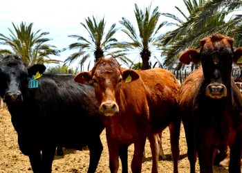 INICIA LUNES 22 DE JULIO EL PERIODO VACACIONAL DE VERANO, MANTENDRÁN GUARDIAS Y ATENCIÓN A LA CIUDADANÍA