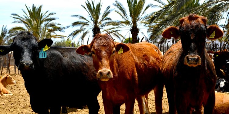 INICIA LUNES 22 DE JULIO EL PERIODO VACACIONAL DE VERANO, MANTENDRÁN GUARDIAS Y ATENCIÓN A LA CIUDADANÍA