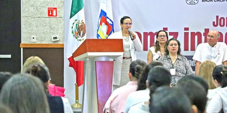 PRODUCEN EN BCS MÁS DE 10 MIL TONELADAS DE MANGO