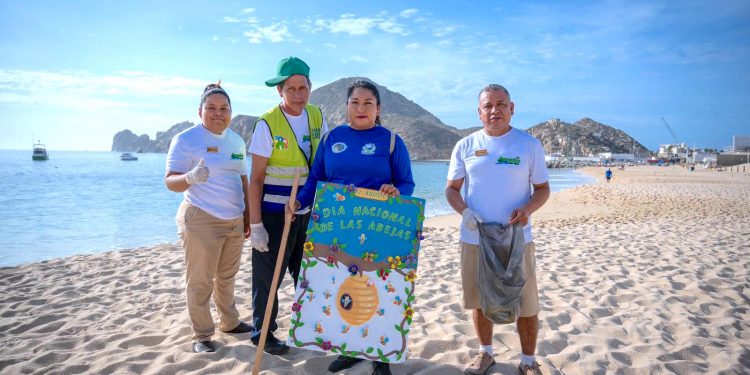 INICIA EL PRIMER CICLO DE NEBULIZACIÓN ESPACIAL EN DISTINTAS COLONIAS DE CABO SAN LUCAS CONTRA EL MOSCO TRANSMISOR DE DENGUE, ZIKA Y CHIKUNGUNYA.
