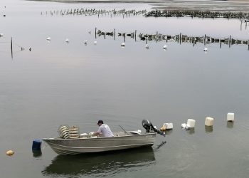REFRENDA BCS COMPROMISO DE PROTEGER A PERSONAS DEFENSORAS DE DERECHOS HUMANOS Y PERIODISTAS
