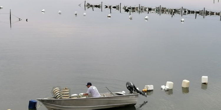 REFRENDA BCS COMPROMISO DE PROTEGER A PERSONAS DEFENSORAS DE DERECHOS HUMANOS Y PERIODISTAS