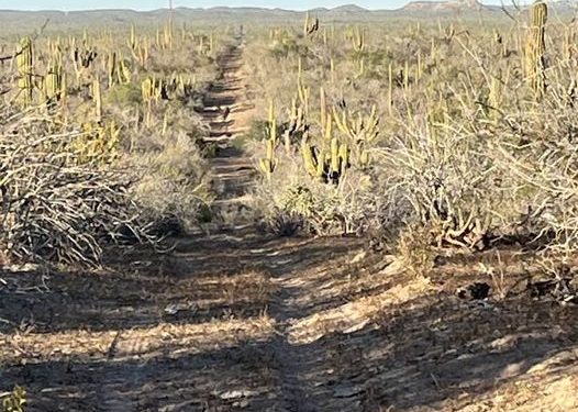 ABCdario                 Por Víctor Octavio García