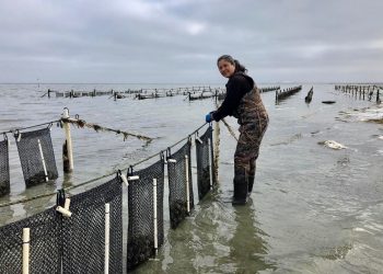 REGRESAN A LAS AULAS MÁS DE 150 MIL  ESTUDIANTES DE NIVEL BÁSICO EN BCS