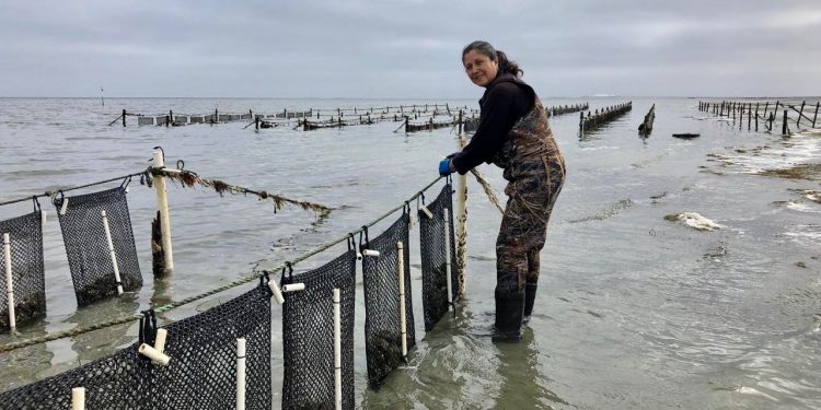 REGRESAN A LAS AULAS MÁS DE 150 MIL ESTUDIANTES DE NIVEL BÁSICO EN BCS