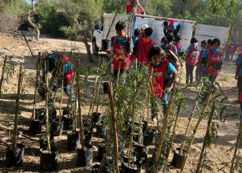 100 ÁRBOLES FUERON PLANTADOS EN LA RESERVA ECOLÓGICA ESTATAL ESTERO DE SAN JOSÉ DEL CABO